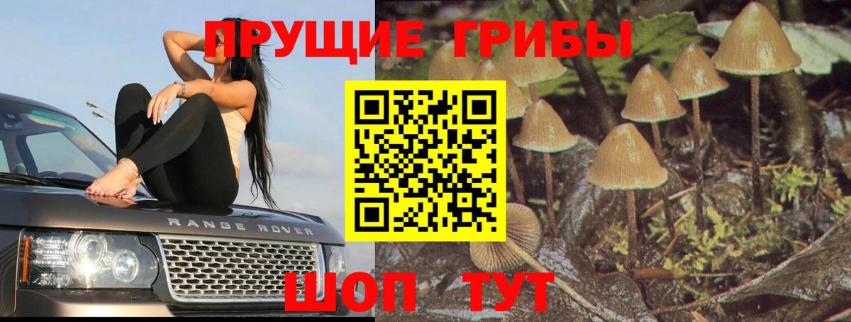 Галлюциногенные грибы GOLDEN TEACHER Боровичи